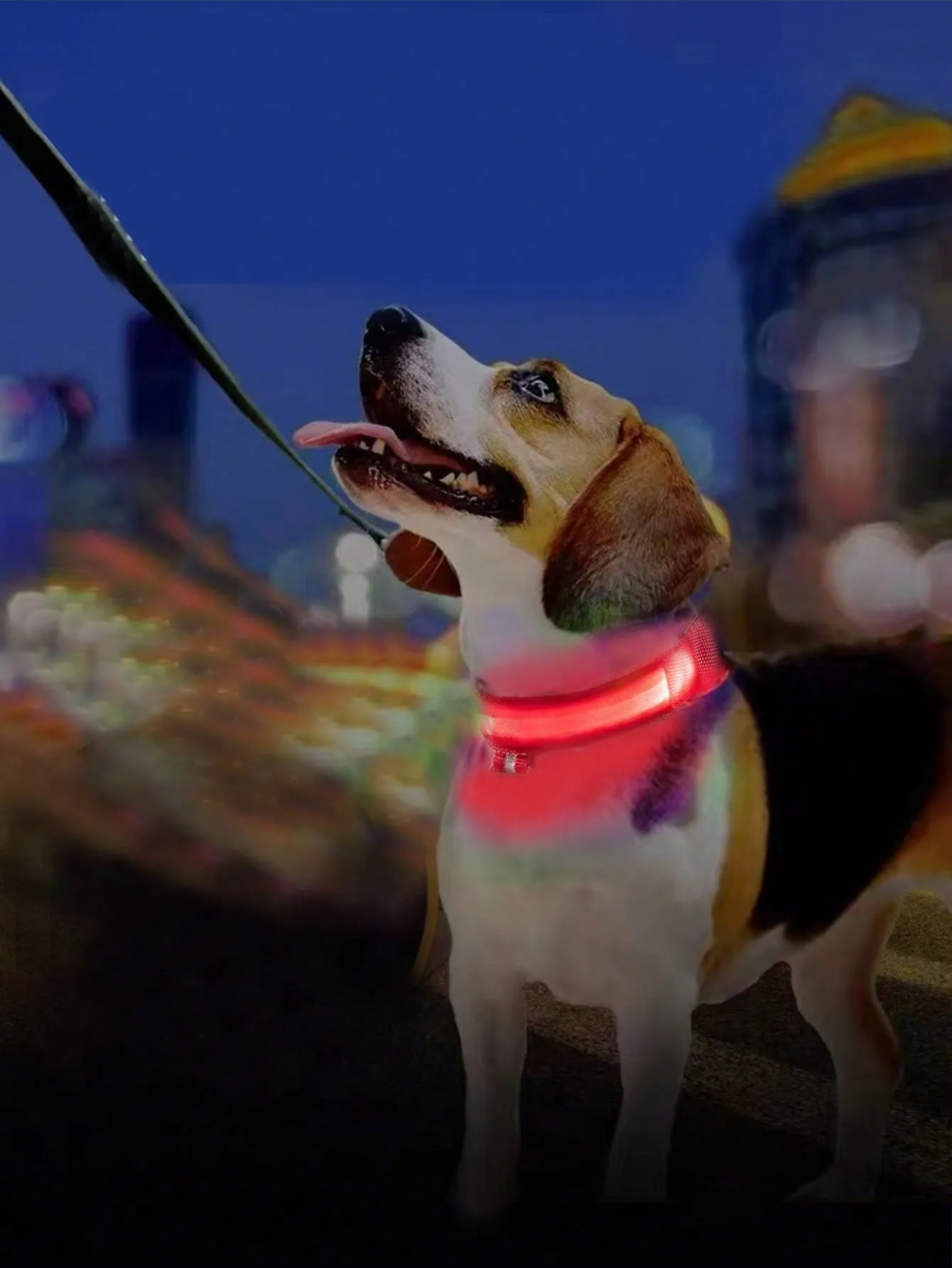 1pc LED Light Pet Collar Blue ABS Creative Pet Collar For Outdoor