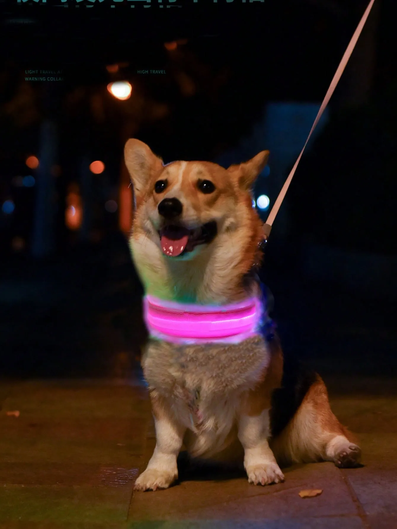 1pc LED Light Pet Collar Blue ABS Creative Pet Collar For Outdoor