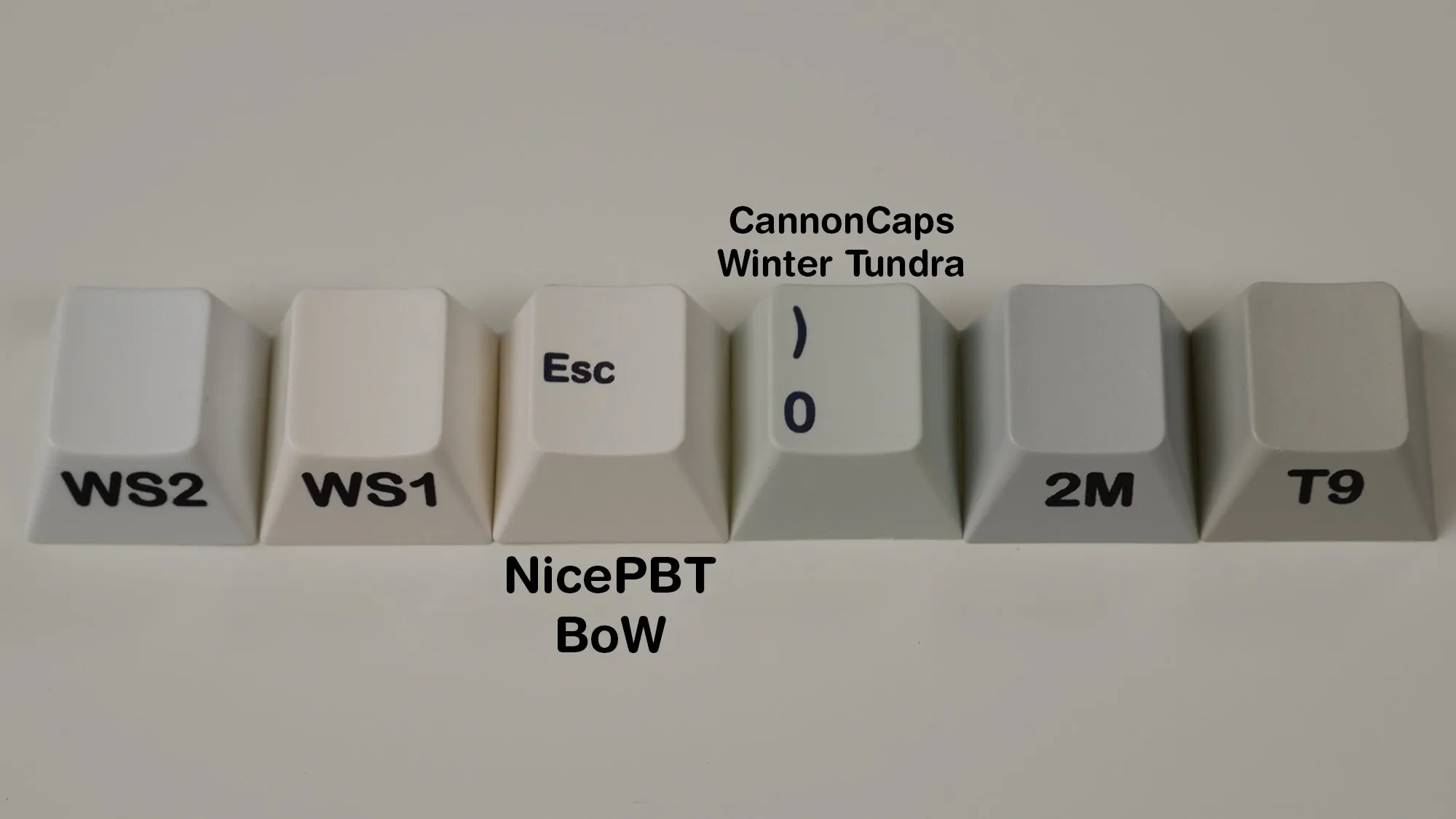 CannonCaps Winter Tundra