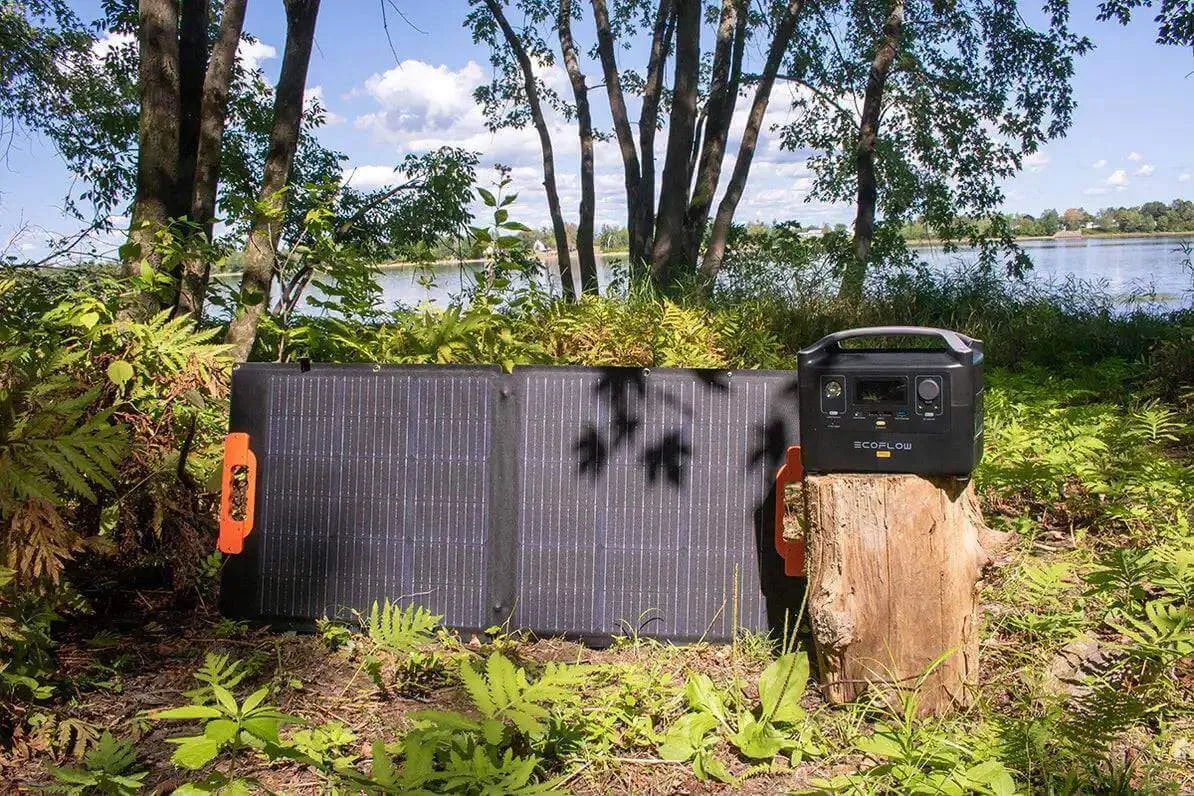 EcoFlow DELTA 2 Portable Power Station