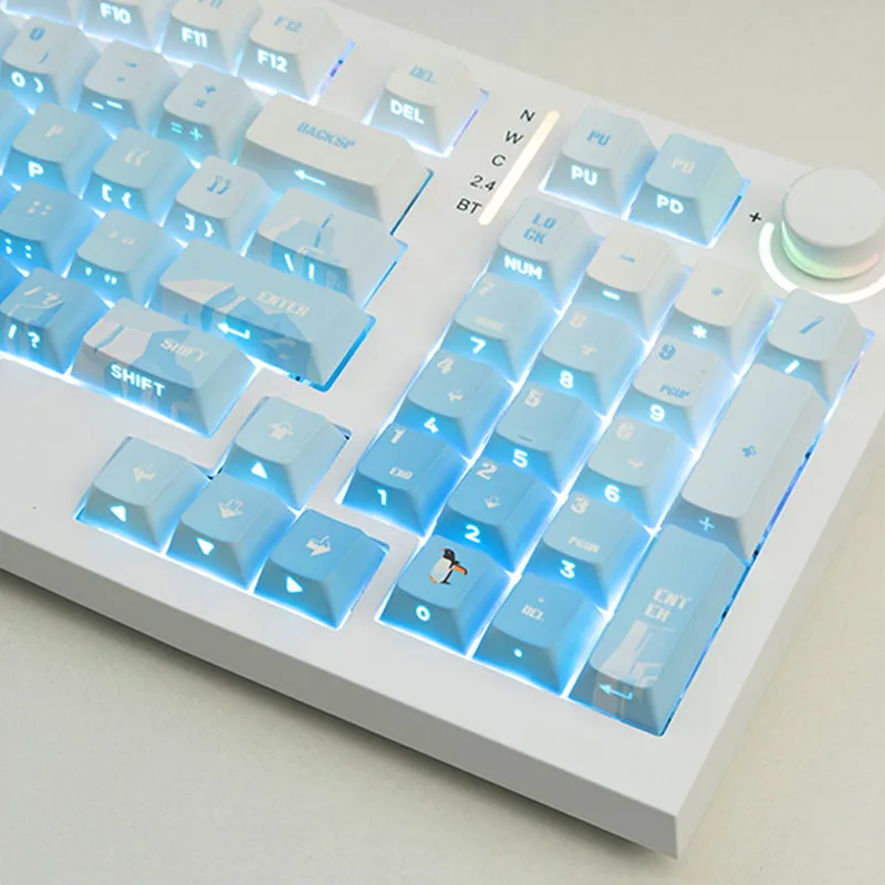 PIIFOX Glacier OEM Profile Keycap Set