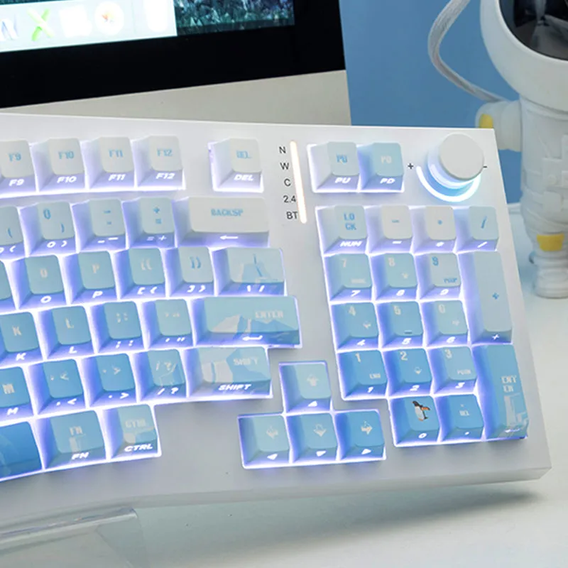 PIIFOX Glacier OEM Profile Keycap Set