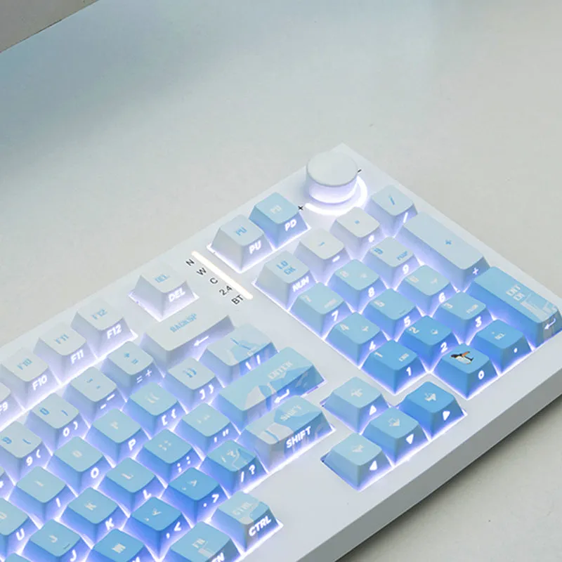 PIIFOX Glacier OEM Profile Keycap Set